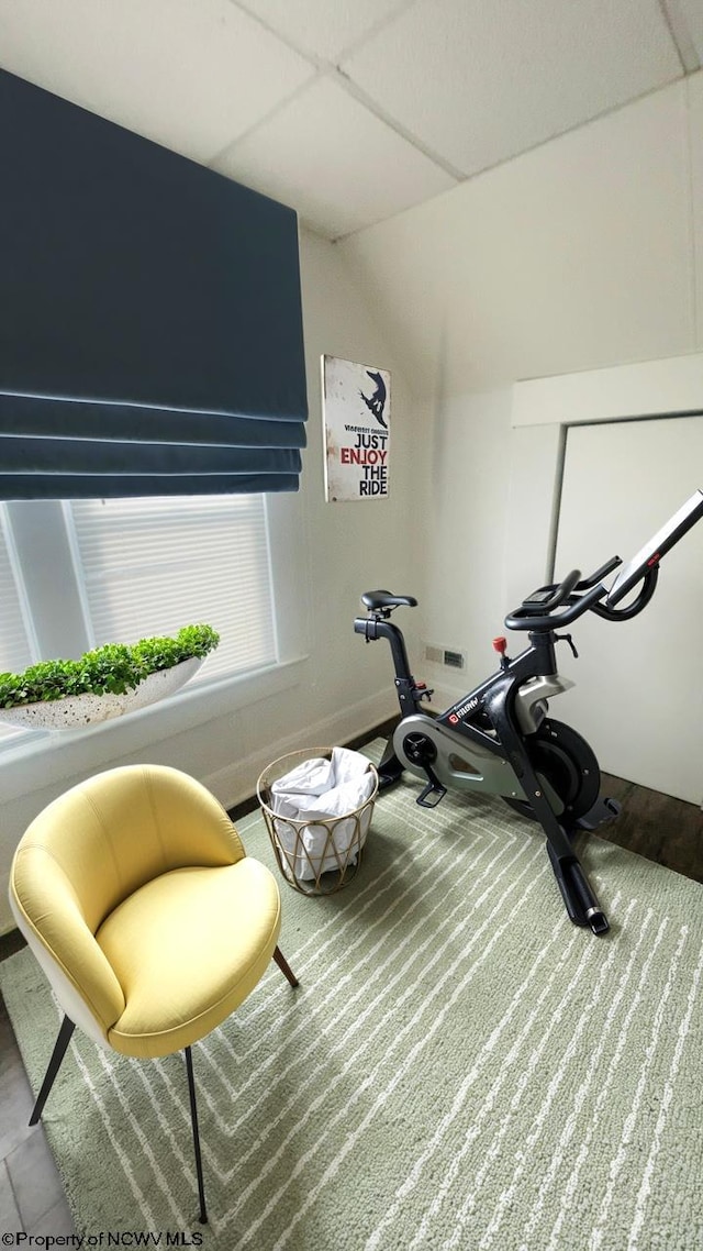 exercise area featuring lofted ceiling