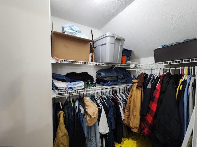 view of spacious closet