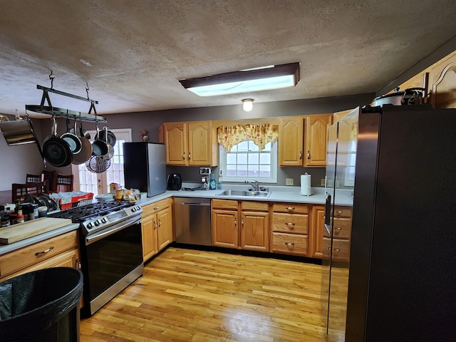 kitchen featuring a healthy amount of sunlight, stainless steel appliances, light hardwood / wood-style floors, and sink