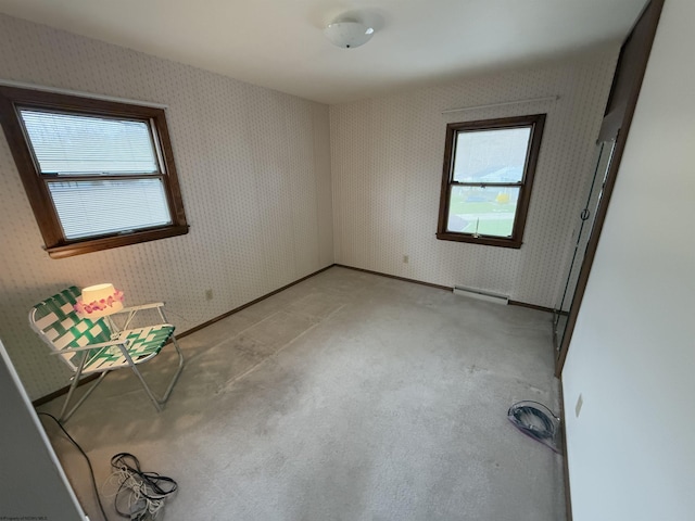 empty room featuring light colored carpet