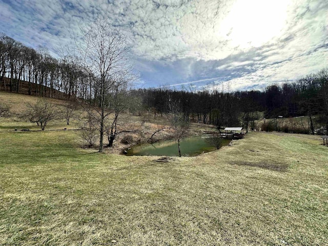 view of yard with a rural view and a water view