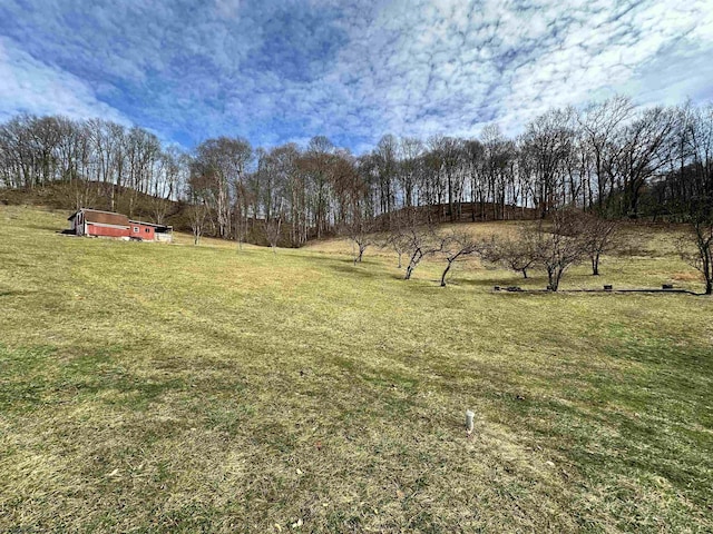 view of yard with a rural view