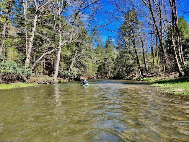 property view of water