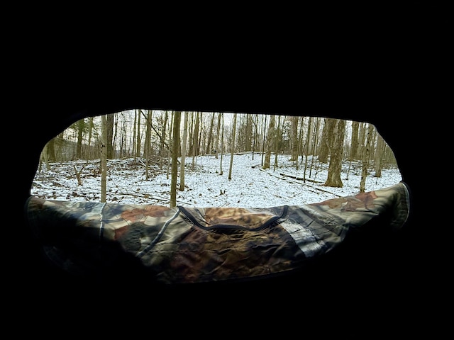 view of snow covered land