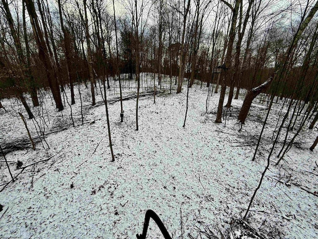 view of yard layered in snow