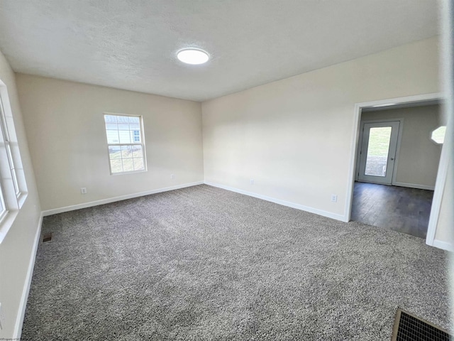 carpeted empty room with plenty of natural light and a textured ceiling