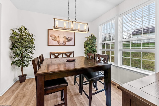 dining room featuring a notable chandelier and light hardwood / wood-style flooring