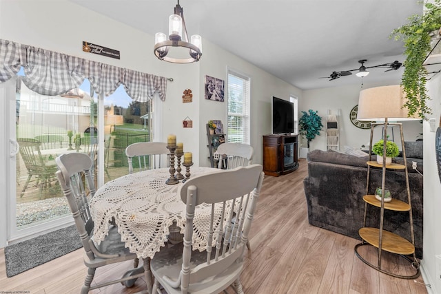 dining room featuring ceiling fan with notable chandelier and light hardwood / wood-style flooring