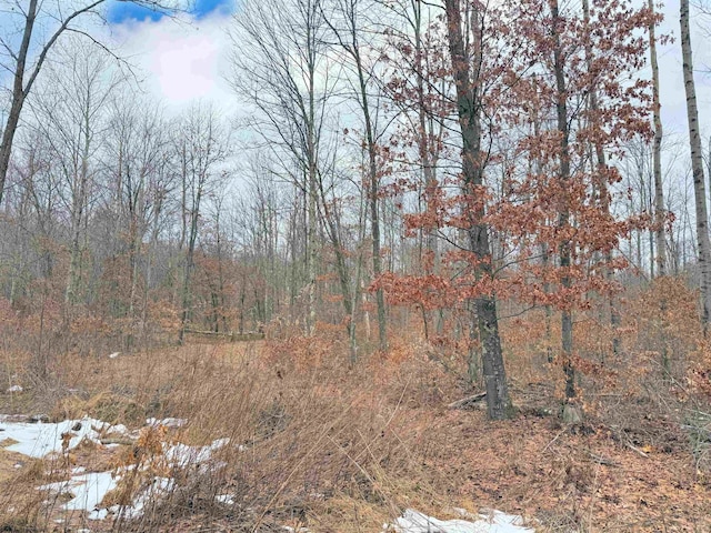 Listing photo 2 for TBD Berger Rd, Bruceton Mills WV 26525