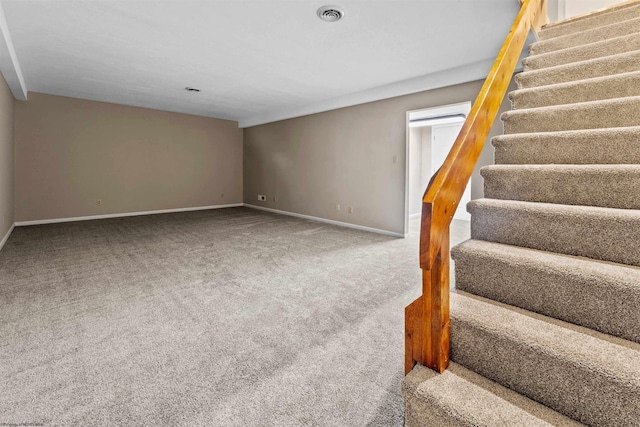 staircase featuring carpet floors