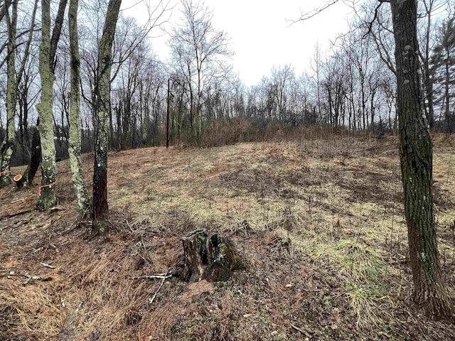 Listing photo 3 for TBD2 Corpening Dr, Bridgeport WV 26330