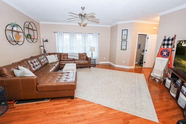 living room featuring crown molding, hardwood / wood-style flooring, and ceiling fan