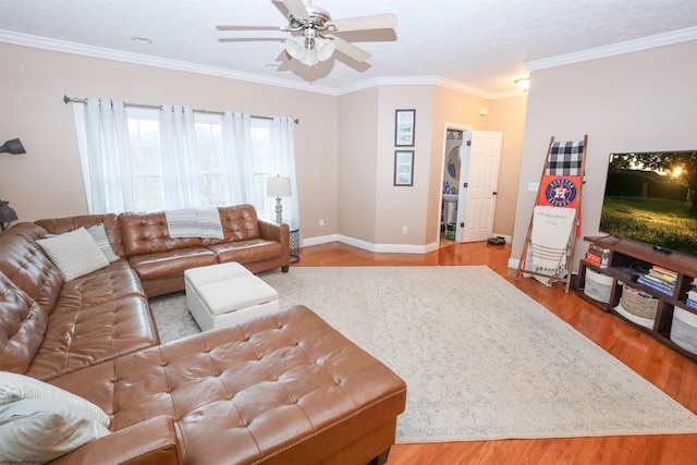 living room featuring crown molding, light hardwood / wood-style floors, and ceiling fan