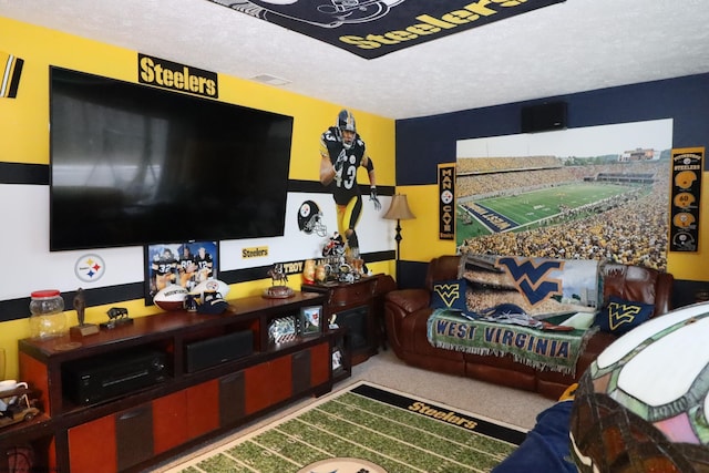 carpeted living room with a textured ceiling