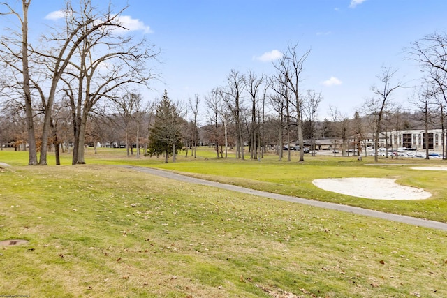 view of home's community with a lawn