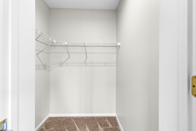 walk in closet with carpet flooring