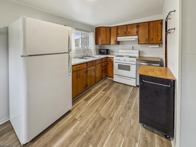 kitchen with sink, white appliances, and light hardwood / wood-style flooring