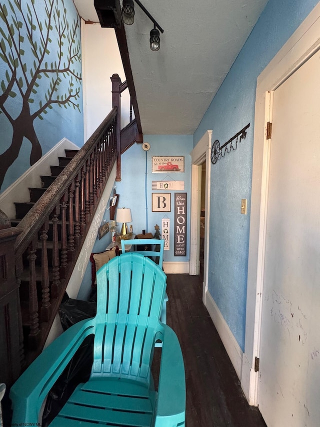 stairs with hardwood / wood-style floors