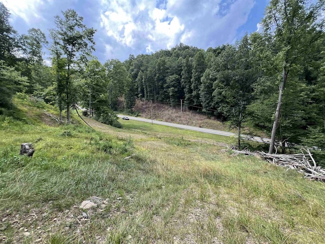 TBD Walker Fork Road, Copen WV, 26615 land for sale