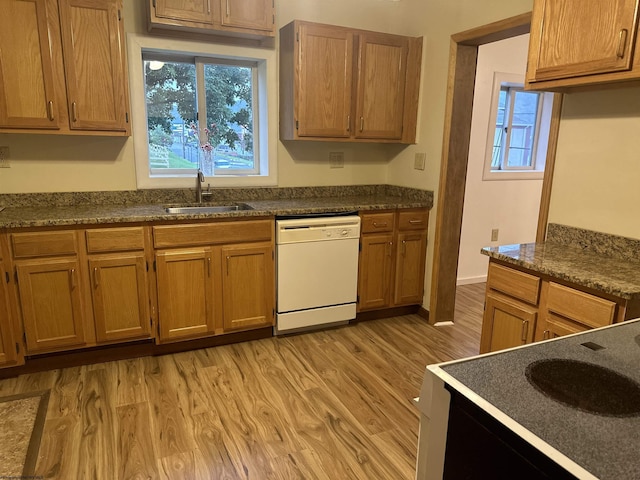 kitchen featuring plenty of natural light, dishwasher, sink, and light hardwood / wood-style flooring