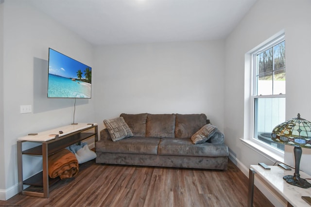 living room featuring wood-type flooring