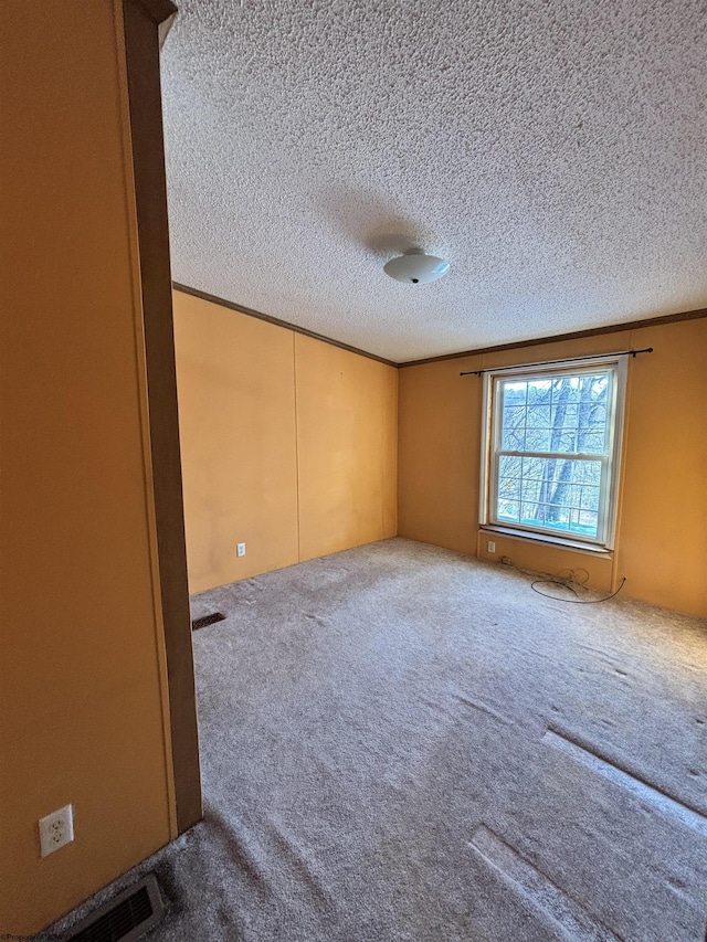 spare room with crown molding, carpet flooring, and a textured ceiling