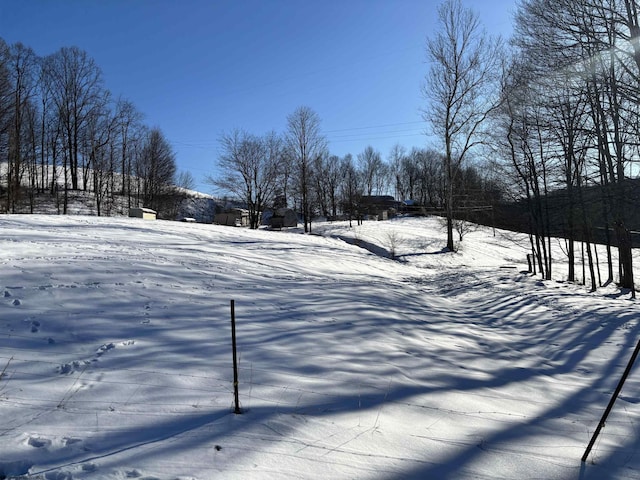 view of yard layered in snow