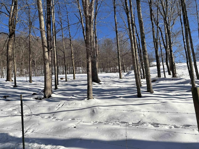 view of yard layered in snow