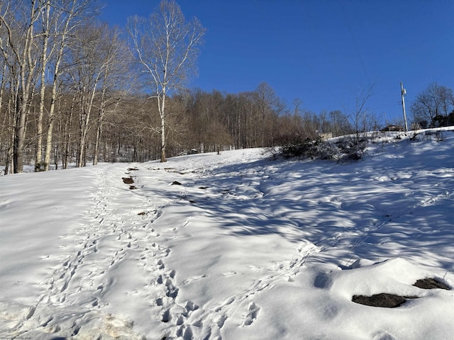 view of yard layered in snow