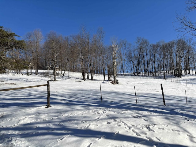 view of yard covered in snow