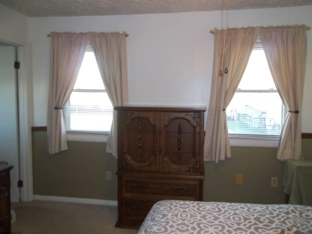 bedroom featuring multiple windows, carpet floors, and a textured ceiling