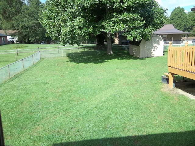 view of yard featuring a shed