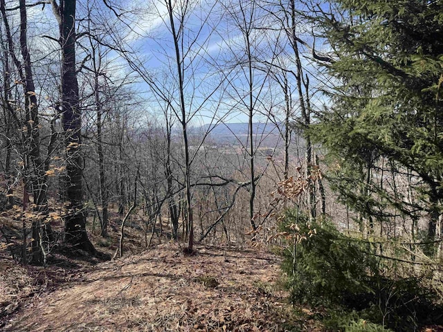 Listing photo 3 for 160 Frostline Ct, Davis WV 26260