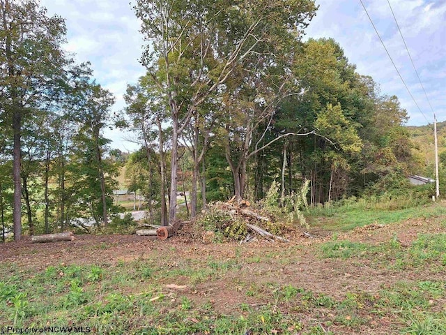 Listing photo 2 for TBD Bluebell Dr, Clarksburg WV 26301