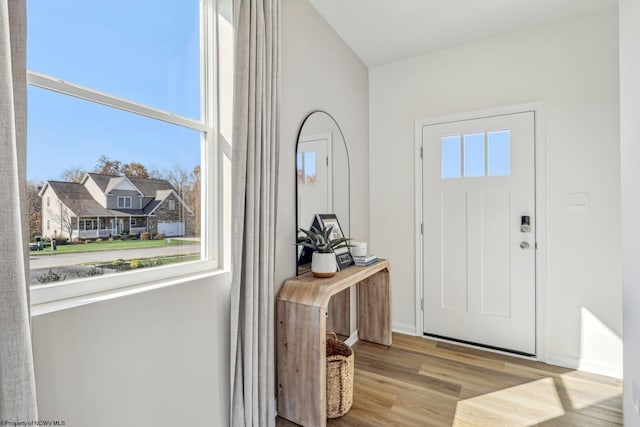 foyer with a healthy amount of sunlight and light hardwood / wood-style flooring