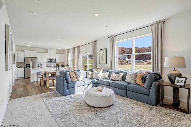 living room with light hardwood / wood-style floors