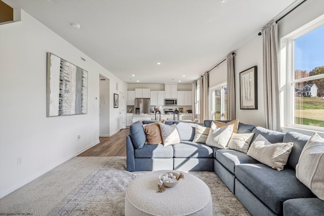 living room with a healthy amount of sunlight and light hardwood / wood-style flooring