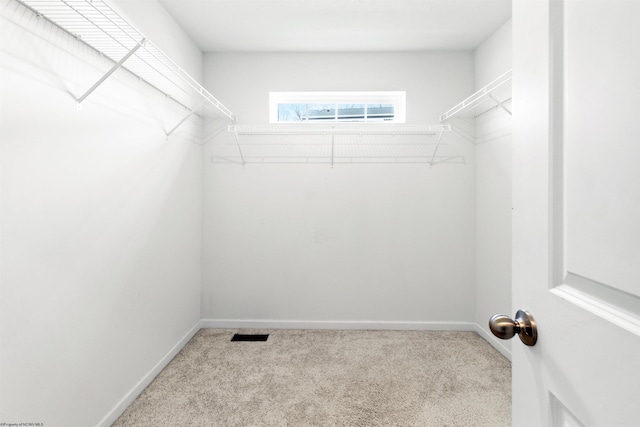 spacious closet with light carpet