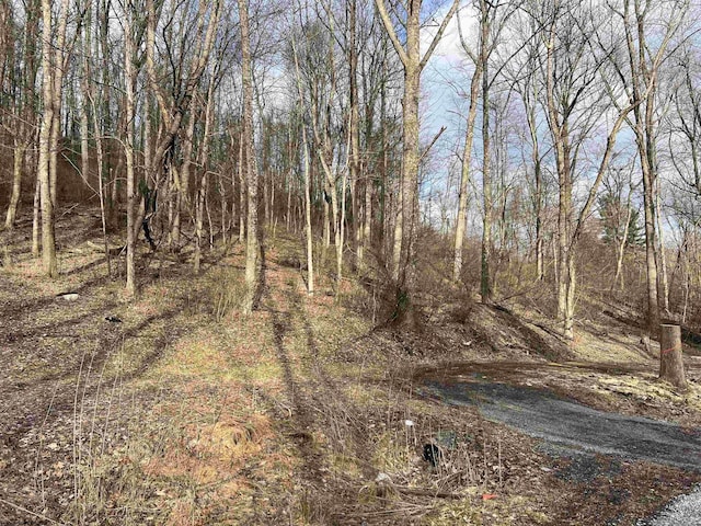 TBD3 Corpening Dr, Bridgeport WV, 26330 land for sale