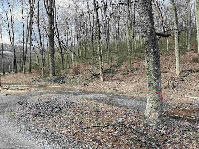 Listing photo 2 for TBD3 Corpening Dr, Bridgeport WV 26330