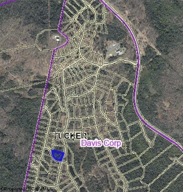 LOT75 Canal St, Davis, WV 26260