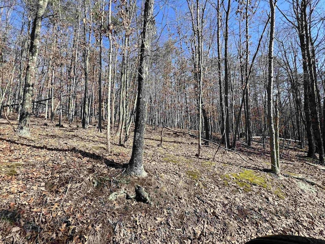 TBD Recluse Road, Delray WV, 26714 land for sale