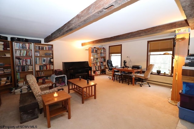 carpeted living room with a healthy amount of sunlight and beam ceiling