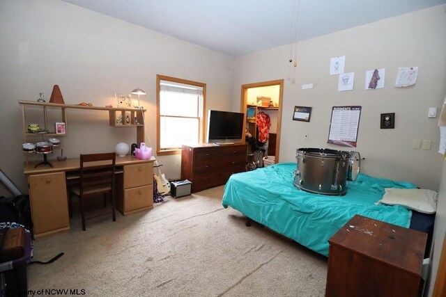 bedroom featuring a spacious closet and light carpet