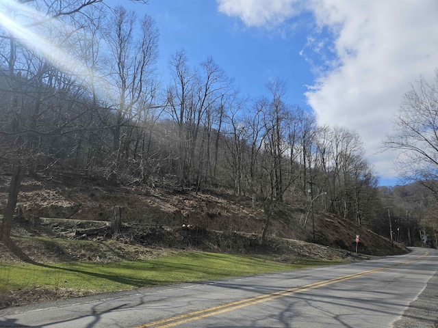 TBD W Catherine St, Rowlesburg WV, 26425 land for sale