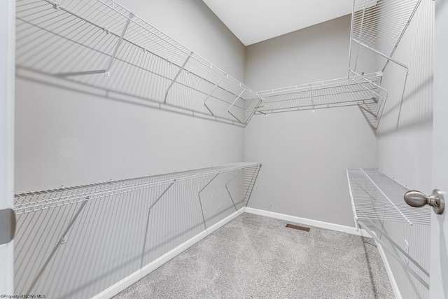 spacious closet featuring carpet