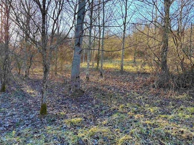 Listing photo 2 for TBD Sycamore Hollow Rd, Worthington WV 26554