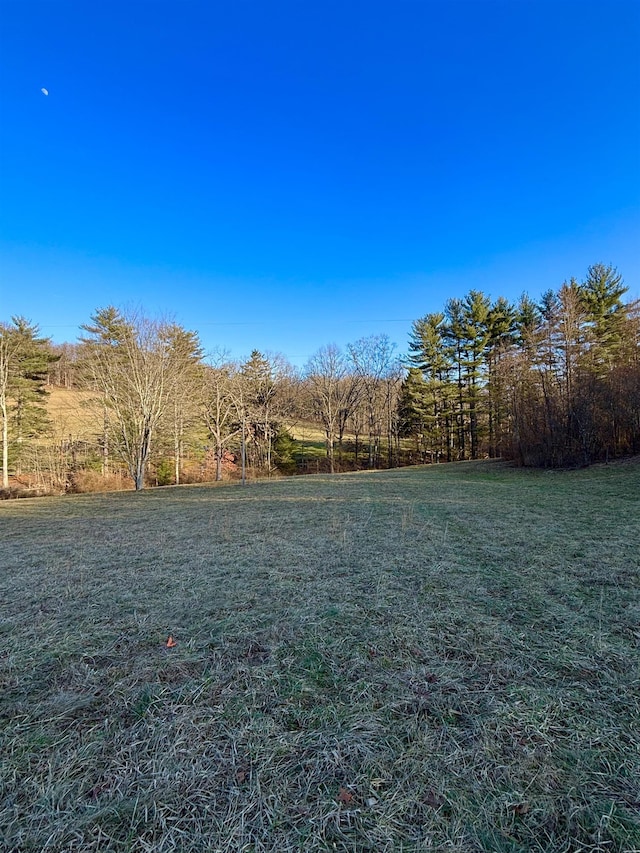 Listing photo 3 for TBD Sycamore Hollow Rd, Worthington WV 26554