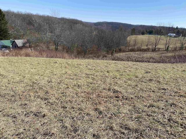 Listing photo 2 for TBD Old Elkins Rd, Buckhannon WV 26201