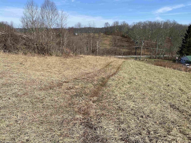 Listing photo 3 for TBD Old Elkins Rd, Buckhannon WV 26201